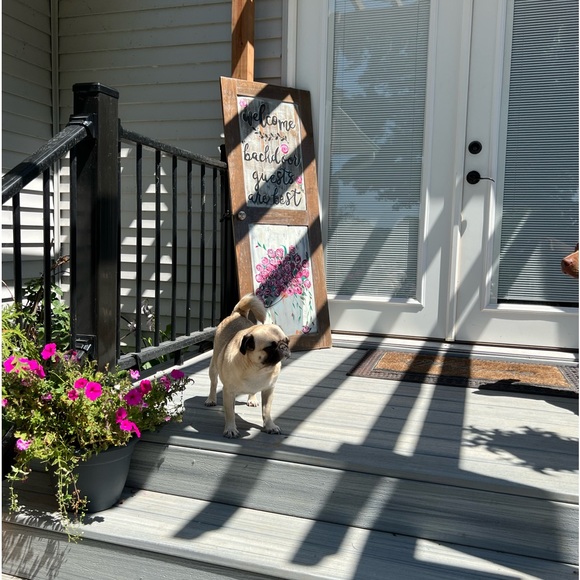 Meet your Posher, Andrea jameson - Picture 4 of 16